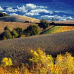 toscana