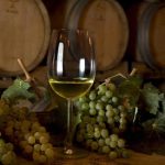 vermentino