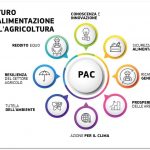 IL FUTURO