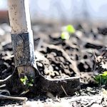 agricoltura bio