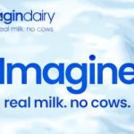 Imagindairy