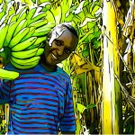 Fairtrade
