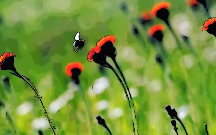Nature Restoration Law