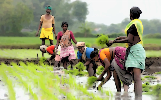 Italian Rice Workers rice field women - Gift