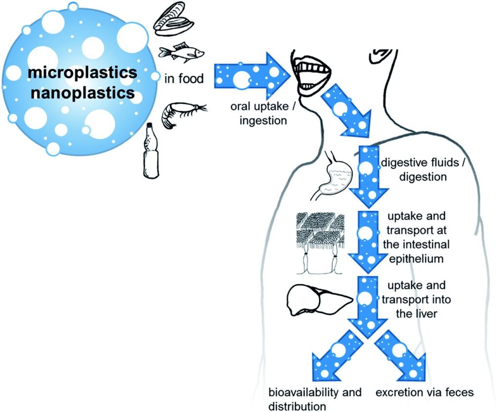 microplastiche restrizioni