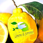 limone di sorrent