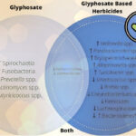 glifosato intolleranza glutine