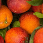 Great Italian Food Trade_Arancia Moro