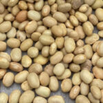 GIFT_Zolfino beans_Tuscany_Italian legumes