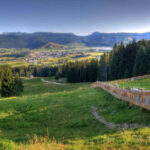 GIFT_ECOSISTEMA FORMAGGIO ASIAGO DOP